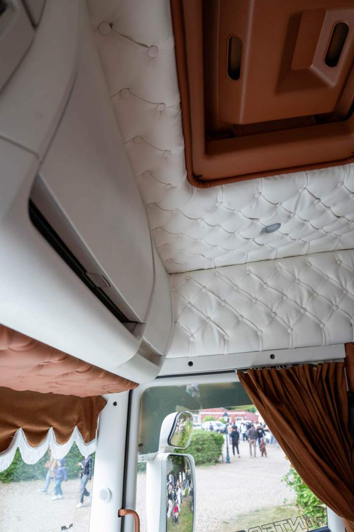 CAMION SCANIA 10
